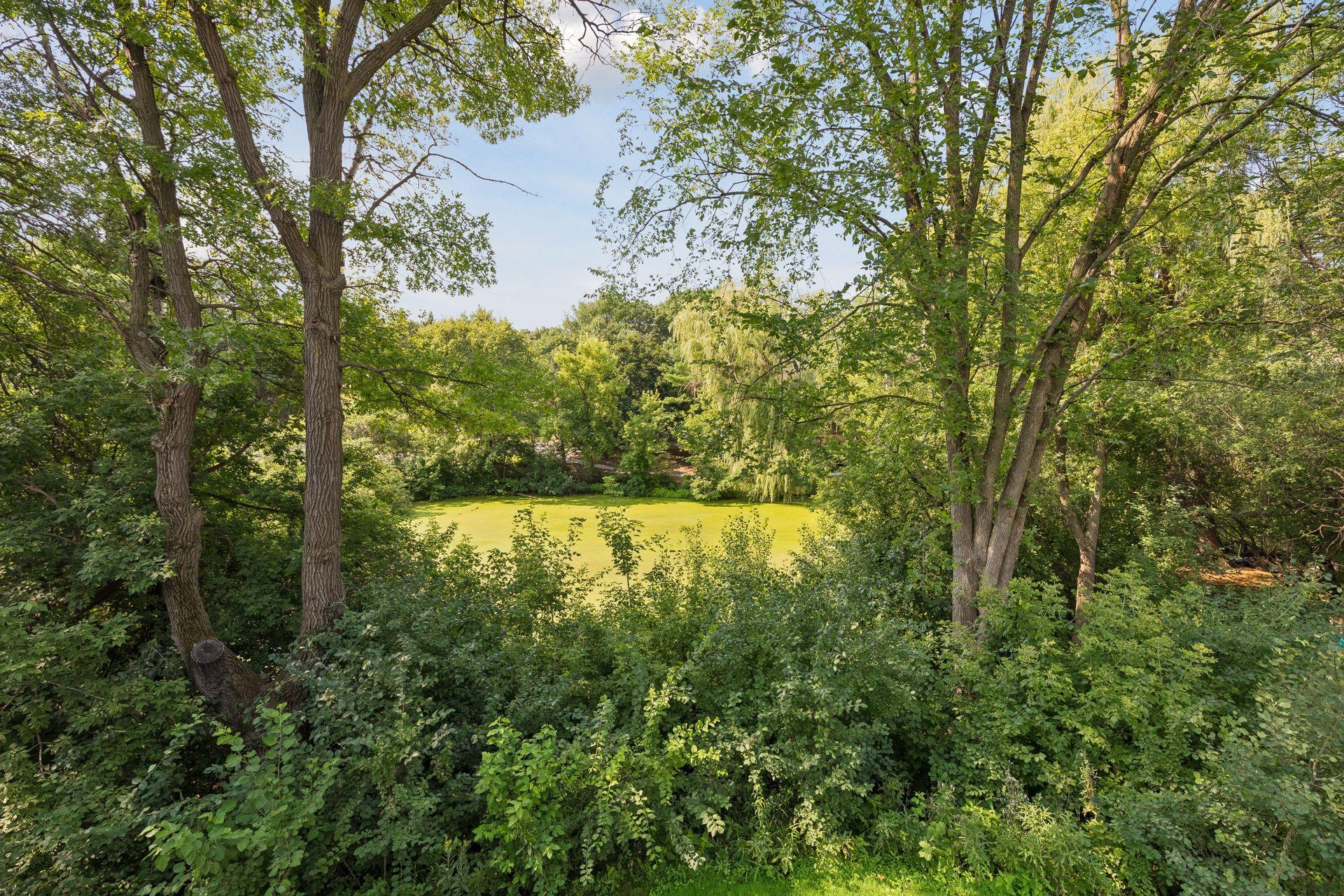 View of Residential at 1191 Duckwood Trail, Eagan MN 55123, Eagan (55 of 56) - Mike Wilen | Minnesota Team Real Estate