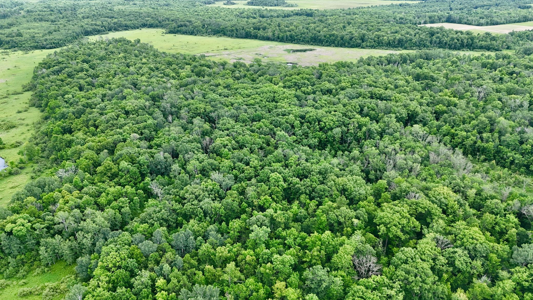 View of Residential at 25756 US Highway 169, Onamia MN 56359, Onamia (67 of 73) - Mike Wilen | Minnesota Team Real Estate