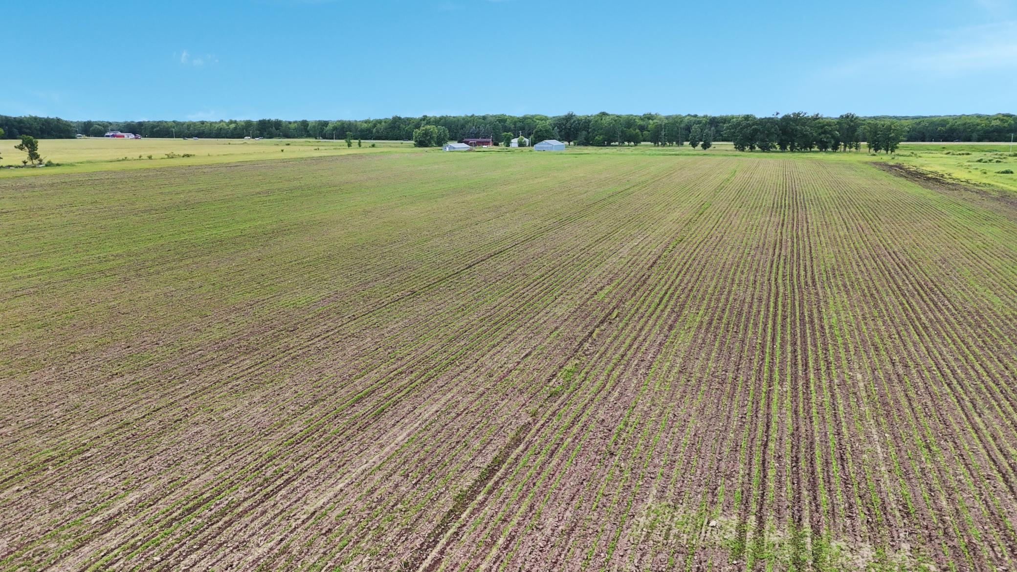 View of Residential at 25756 US Highway 169, Onamia MN 56359, Onamia (63 of 73) - Mike Wilen | Minnesota Team Real Estate
