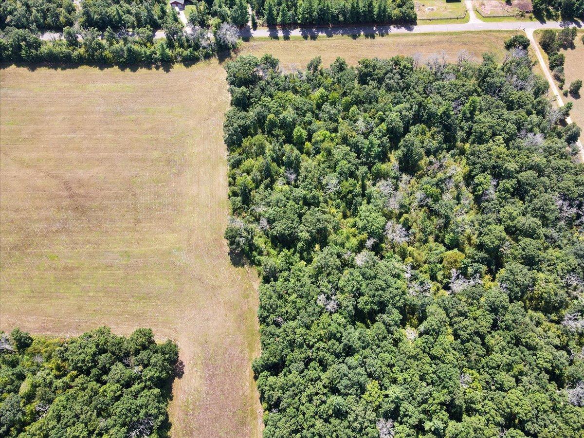 View of Land at Lot 8 Olson Road, Sunrise Twp MN 55032, Sunrise Twp (4 of 5) - Mike Wilen | Minnesota Team Real Estate