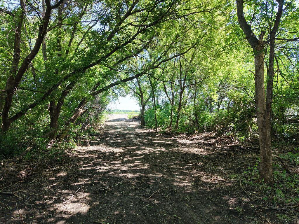 View of Land at TBD County Rd 14, Big Lake MN 55309, Big Lake (21 of 23) - Mike Wilen | Minnesota Team Real Estate