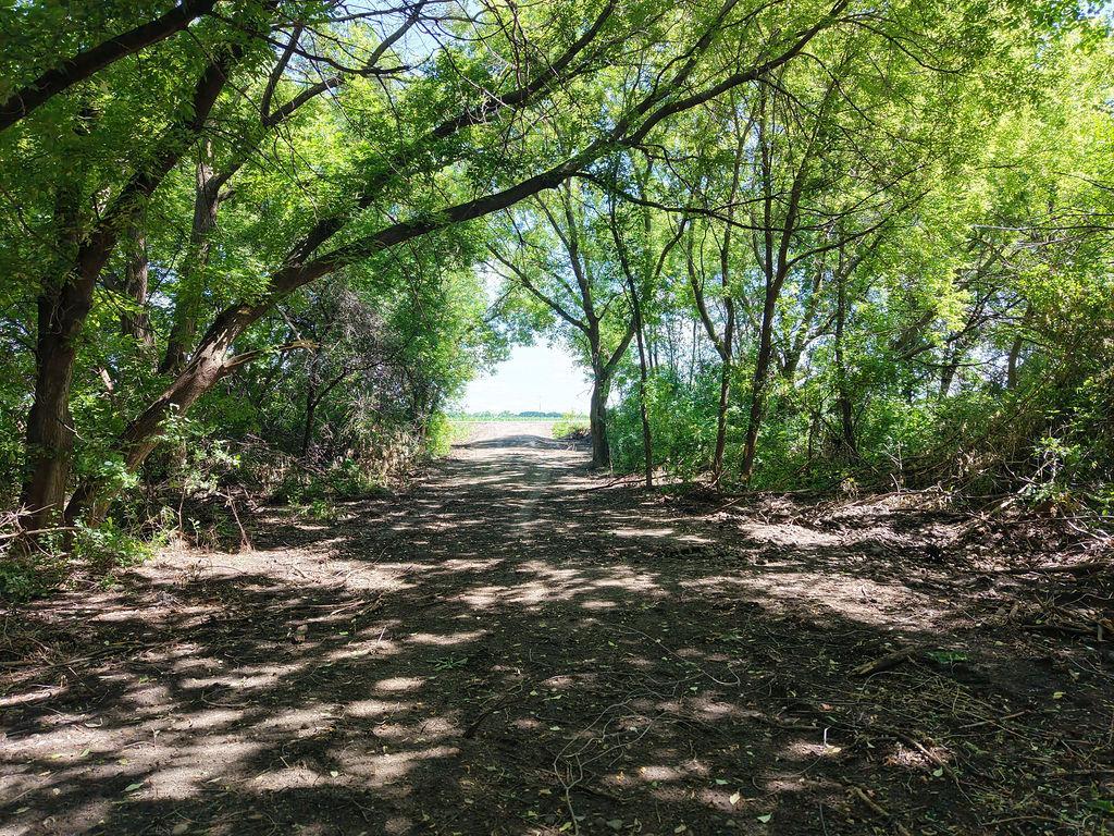 View of Land at TBD County Rd 14, Big Lake MN 55309, Big Lake (19 of 23) - Mike Wilen | Minnesota Team Real Estate