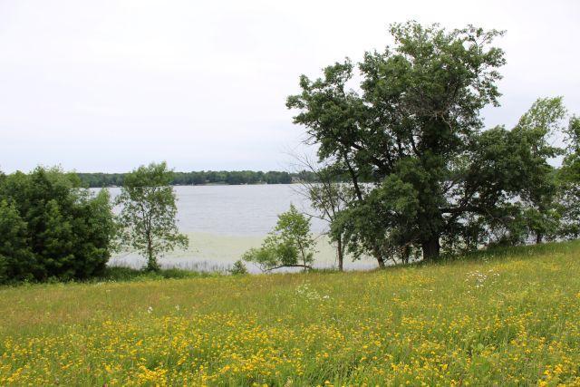 View of Land at Lot C Echo Ridge, Deerwood MN 56444, Deerwood (8 of 8) - Mike Wilen | Minnesota Team Real Estate
