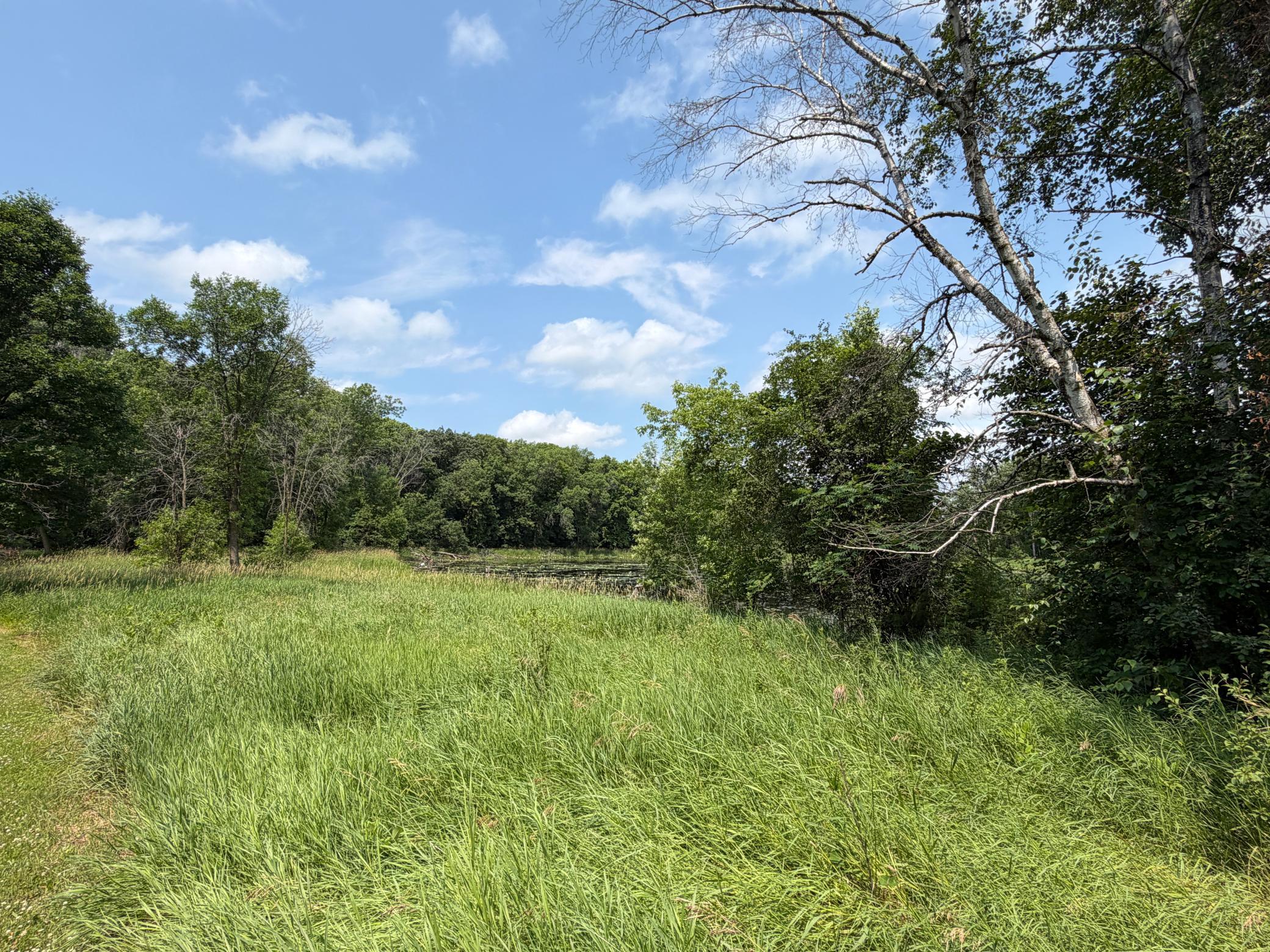 View of Land at tbd Hart Avenue, Annandale MN 55302, Annandale (4 of 7) - Mike Wilen | Minnesota Team Real Estate