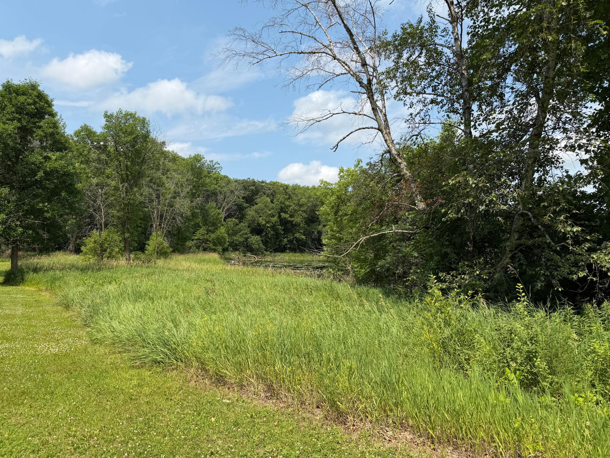 View of Land at tbd Hart Avenue, Annandale MN 55302, Annandale - Mike Wilen | Minnesota Team Real Estate