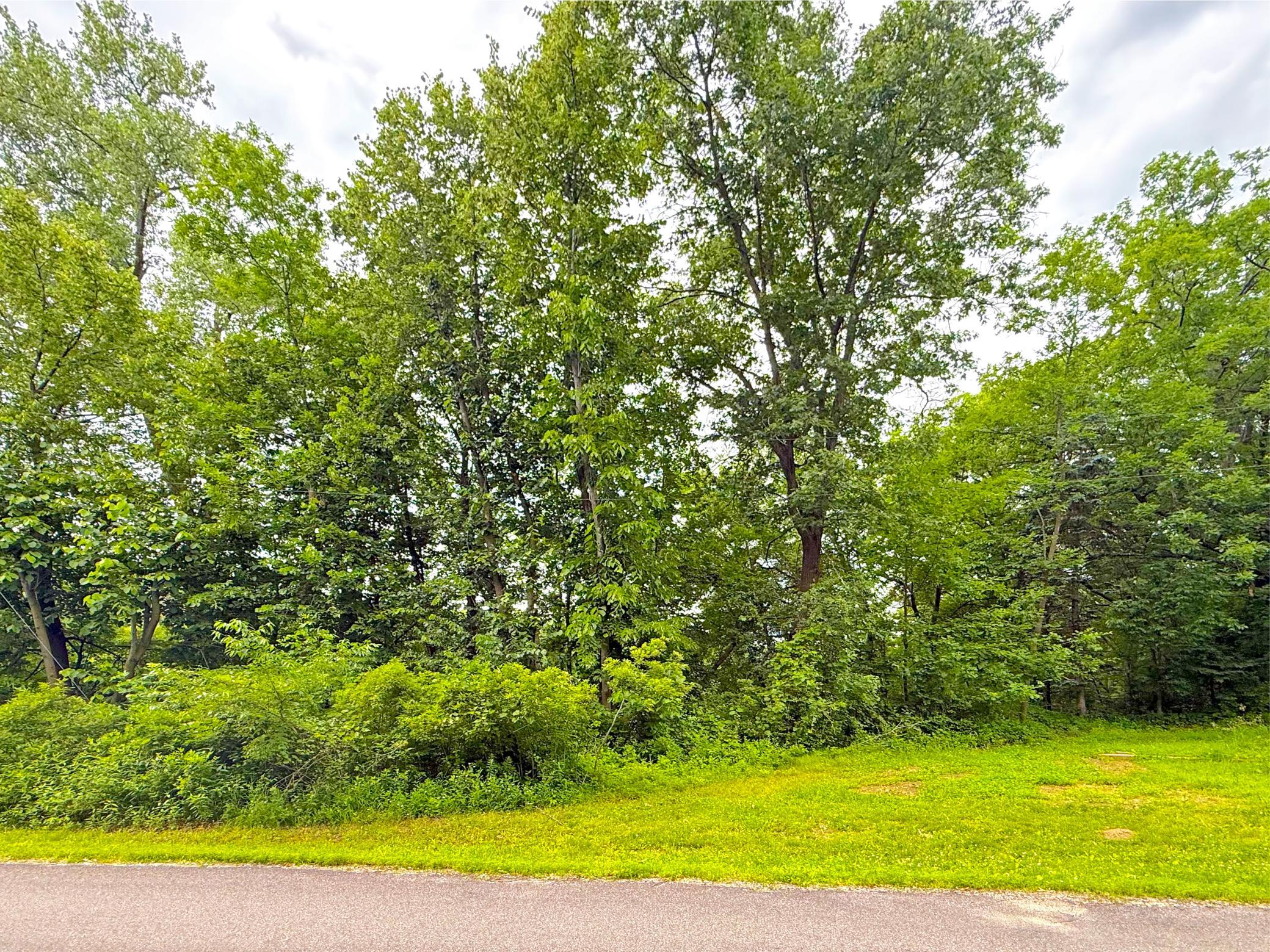 View of Land at tbd Hart Avenue, Annandale MN 55302, Annandale (2 of 7) - Mike Wilen | Minnesota Team Real Estate