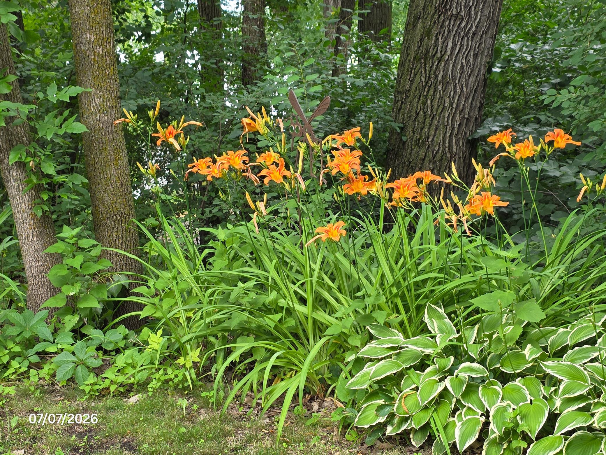View of Residential at 2945 County Road 4 #143, Cokato MN 55321, Cokato (22 of 29) - Mike Wilen | Minnesota Team Real Estate