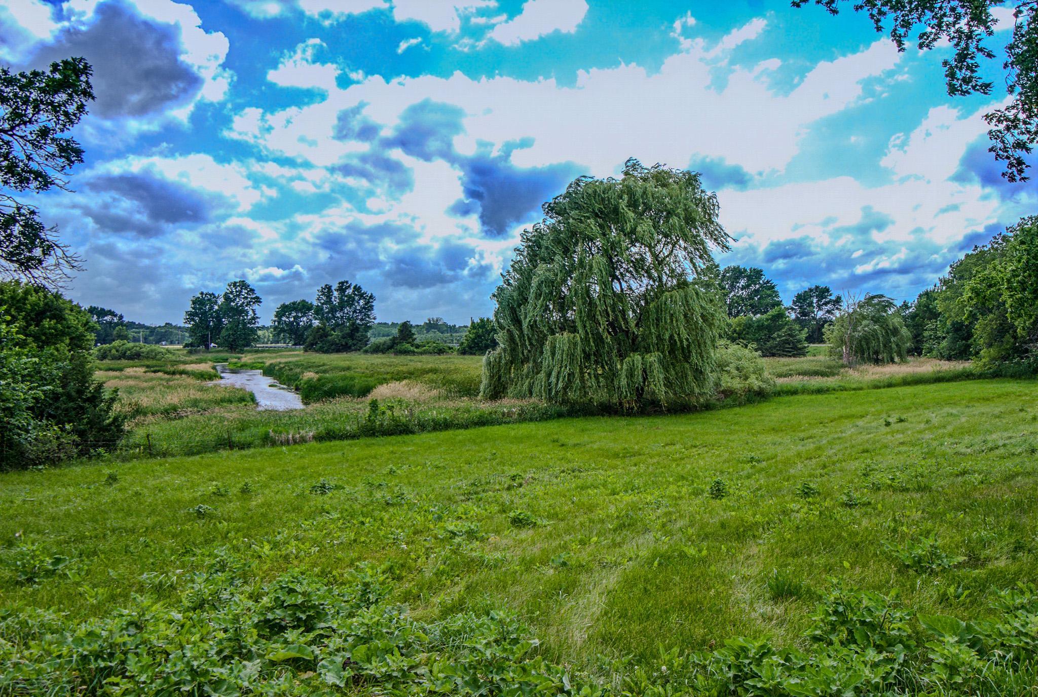 View of Residential at 5746 State Highway 25, Montrose MN 55363, Montrose (82 of 104) - Mike Wilen | Minnesota Team Real Estate