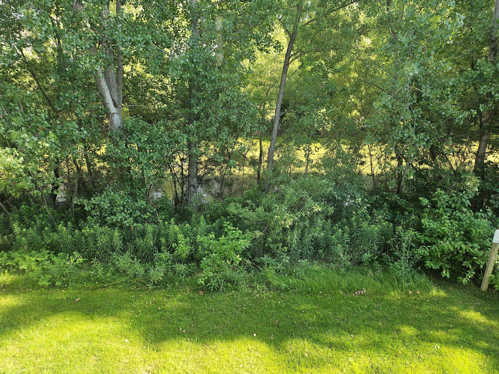 View of Residential at 3090 212th Street, Farmington MN 55024, Farmington (39 of 51) - Mike Wilen | Minnesota Team Real Estate