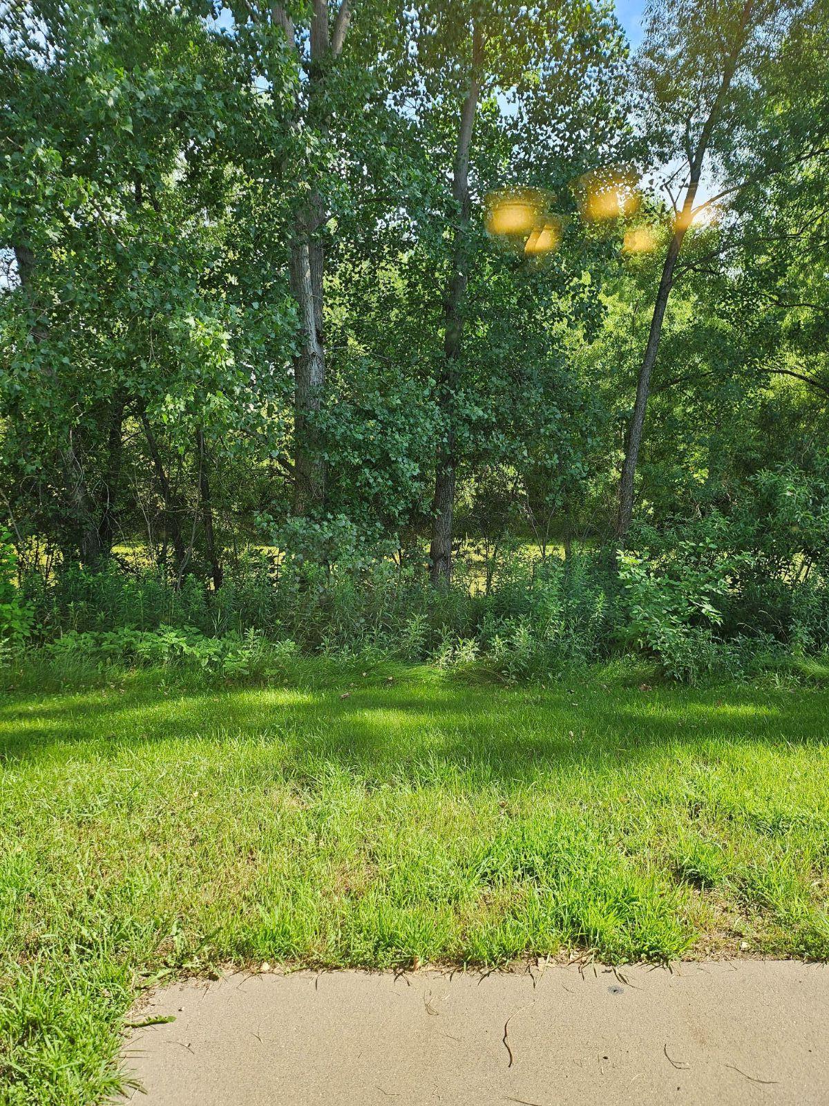 View of Residential at 3090 212th Street, Farmington MN 55024, Farmington (42 of 51) - Mike Wilen | Minnesota Team Real Estate