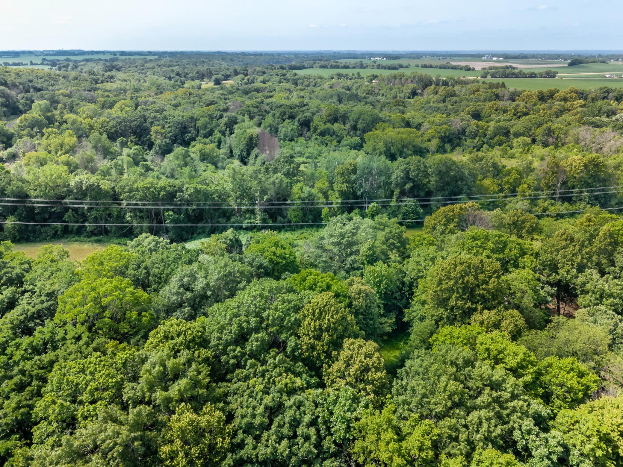 View of Residential at 6340 Lamar Avenue, Cottage Grove MN 55016, Cottage Grove (37 of 74) - Mike Wilen | Minnesota Team Real Estate