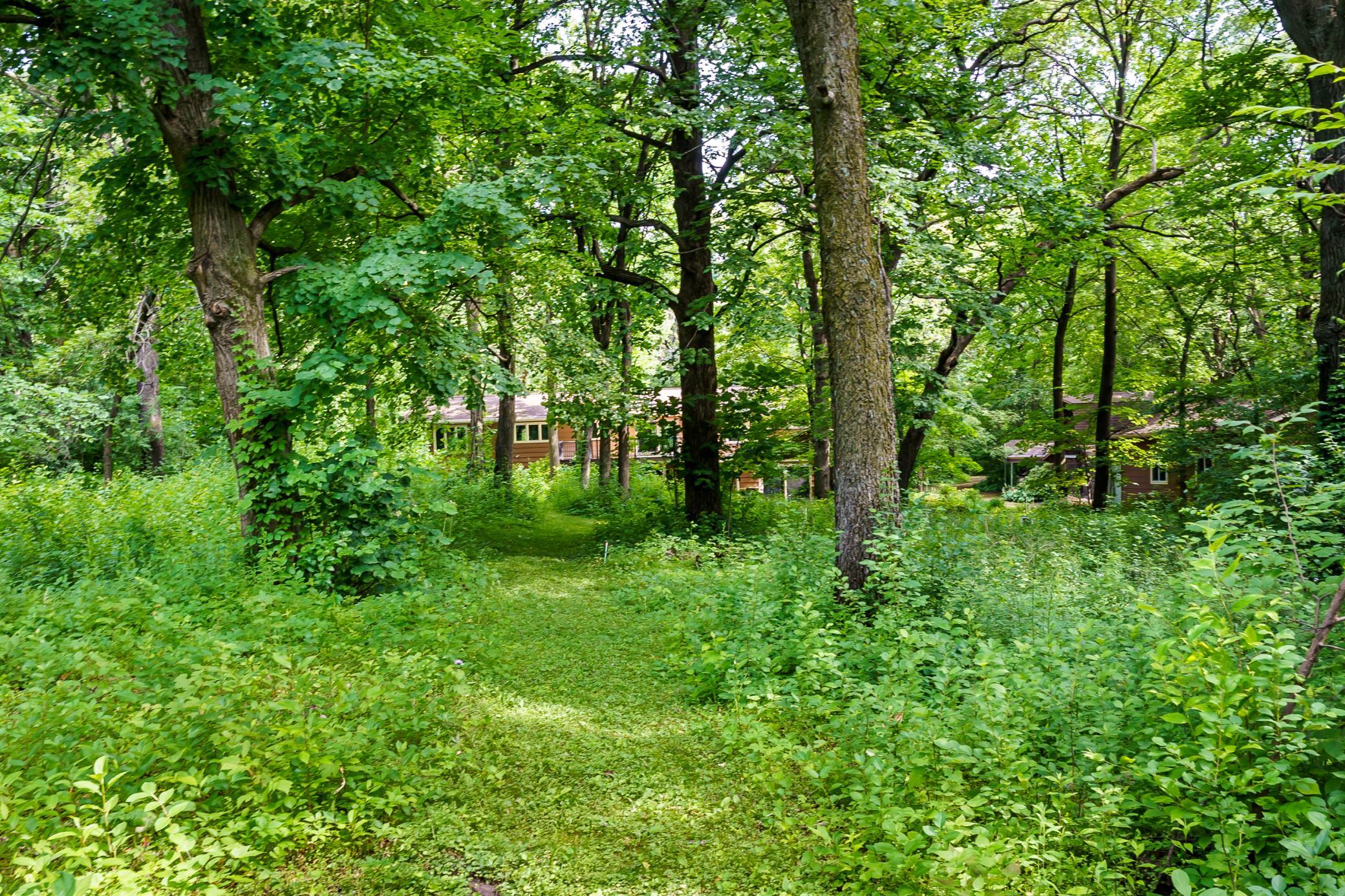 View of Residential at 6340 Lamar Avenue, Cottage Grove MN 55016, Cottage Grove (30 of 74) - Mike Wilen | Minnesota Team Real Estate