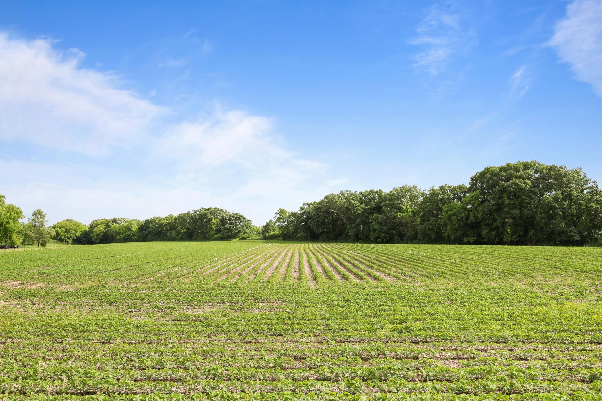 View of Land at 557 222nd Street, Saint Cloud MN 56301, Saint Cloud (8 of 8) - Mike Wilen | Minnesota Team Real Estate