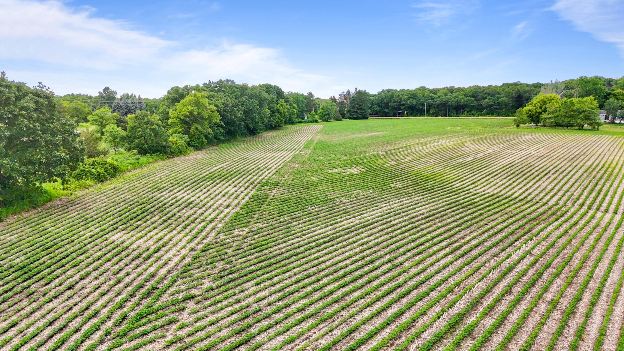 View of Land at 557 222nd Street, Saint Cloud MN 56301, Saint Cloud (6 of 8) - Mike Wilen | Minnesota Team Real Estate