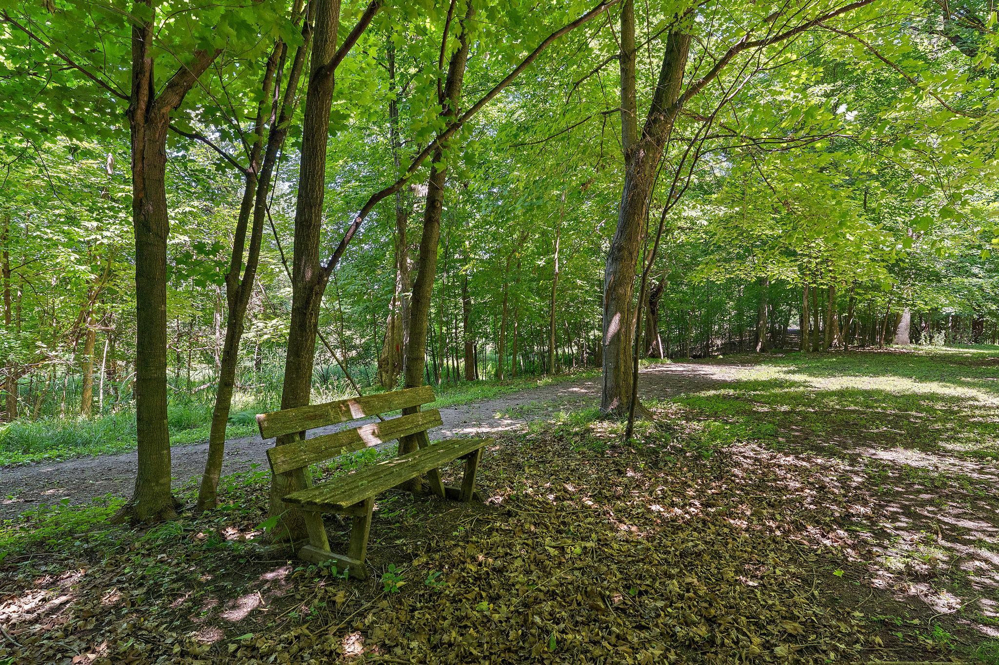 View of Land at 47500 Blue Heron Trail, Rush City MN 55069, Rush City (11 of 33) - Mike Wilen | Minnesota Team Real Estate