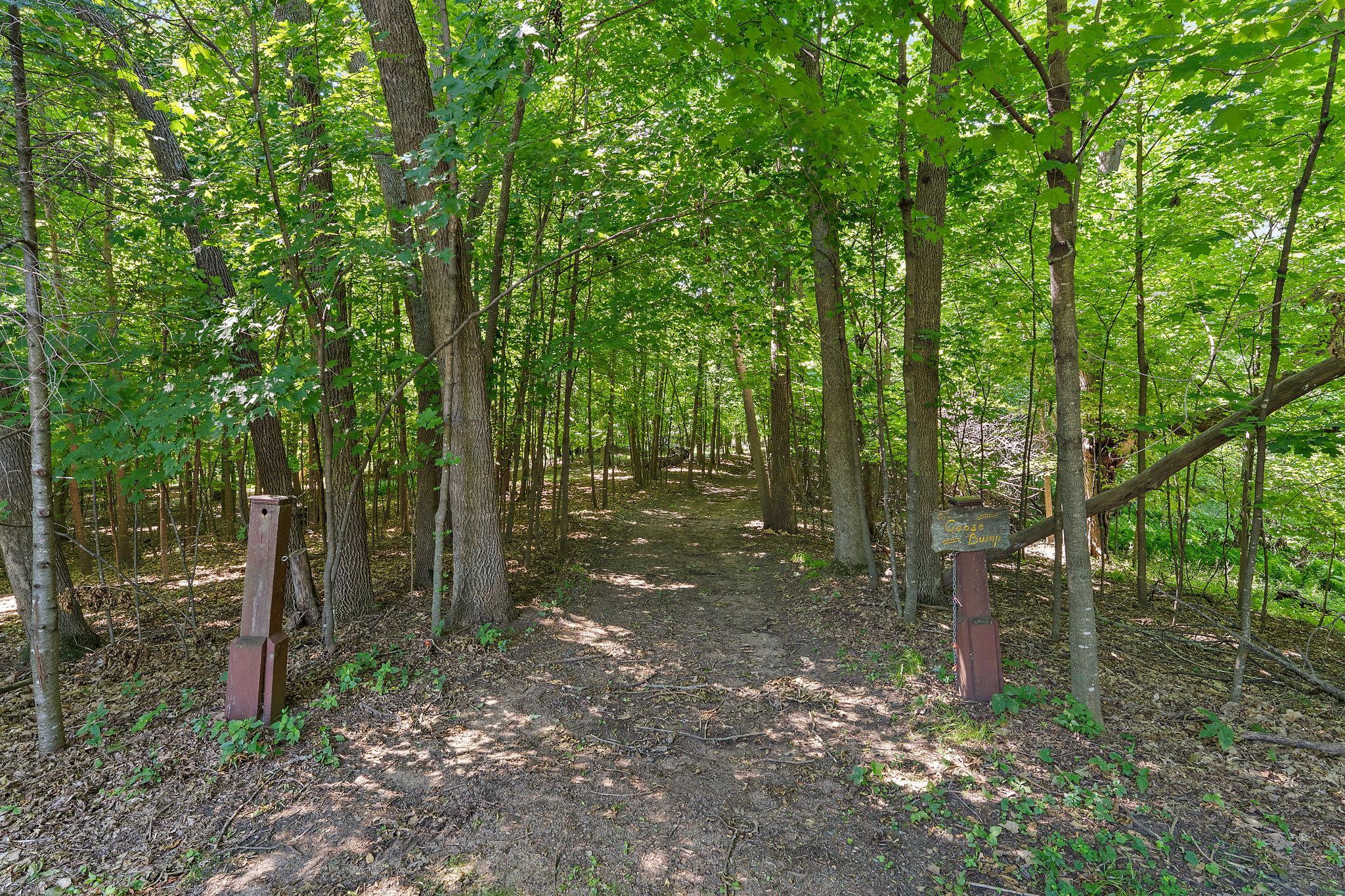 View of Land at 47500 Blue Heron Trail, Rush City MN 55069, Rush City (4 of 33) - Mike Wilen | Minnesota Team Real Estate