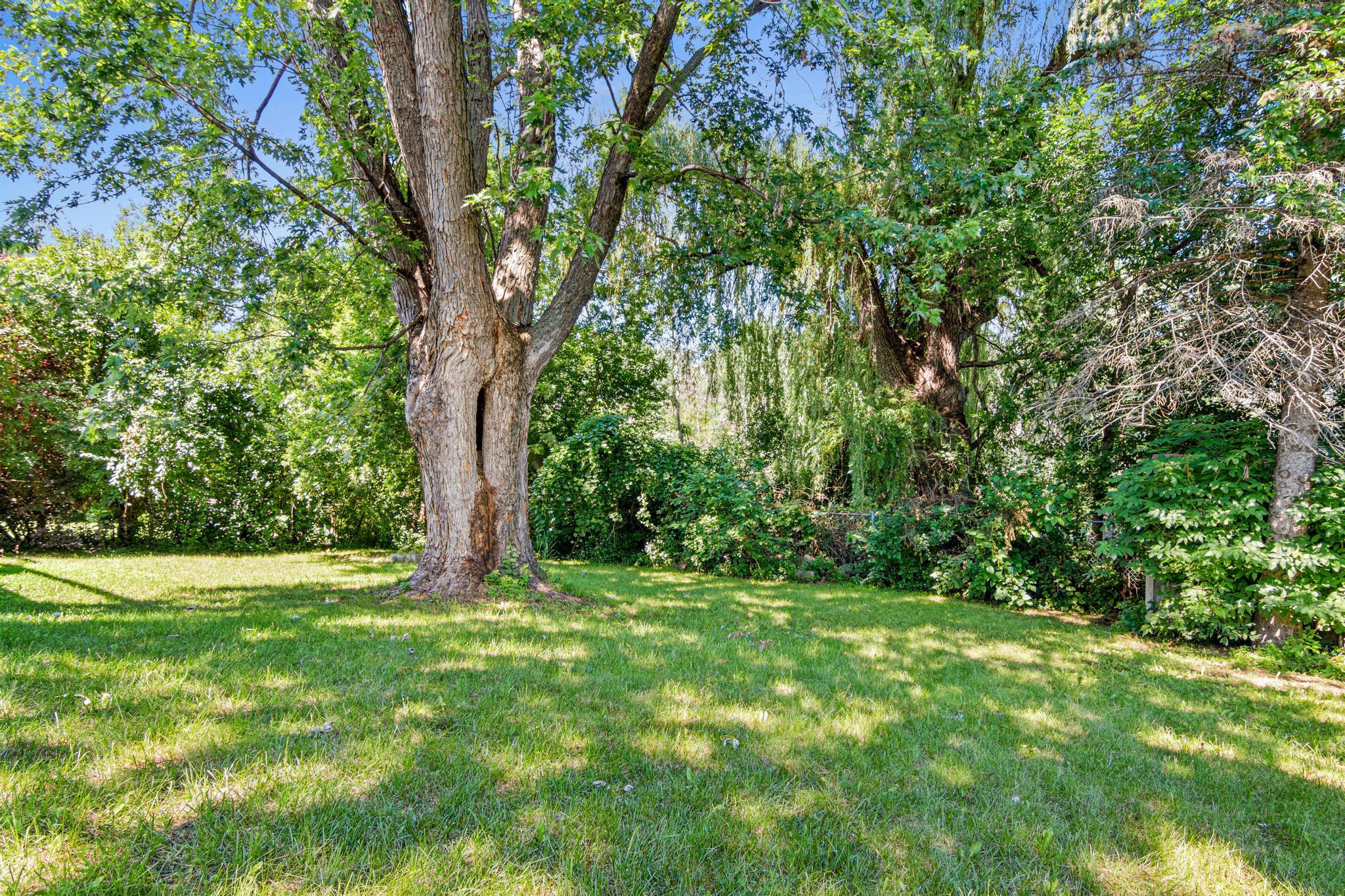 View of Residential at 3635 12th Avenue, Anoka MN 55303, Anoka (29 of 32) - Mike Wilen | Minnesota Team Real Estate