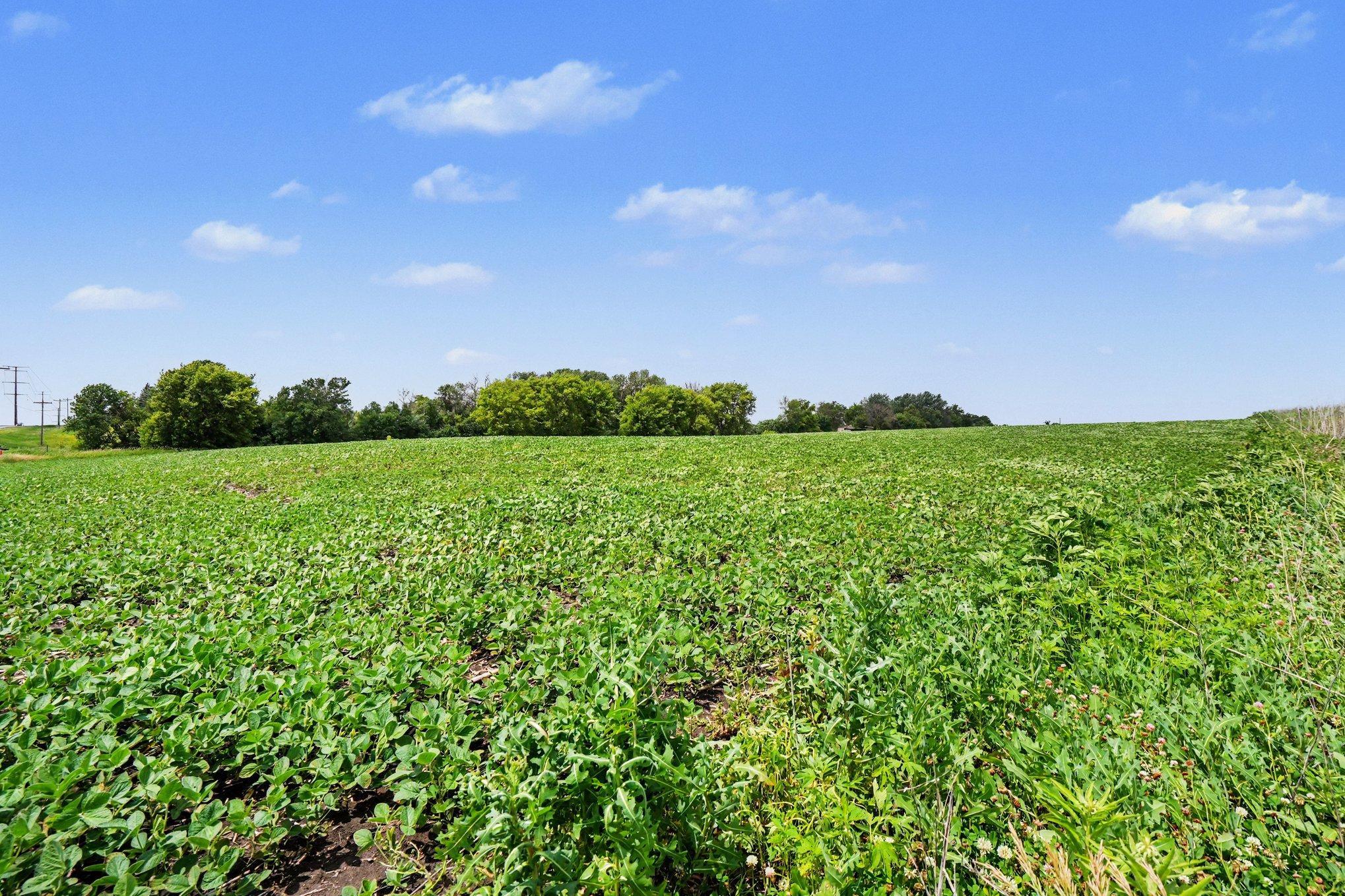 View of Land at TBD 260th Street, New Prague MN 56071, New Prague (2 of 9) - Mike Wilen | Minnesota Team Real Estate
