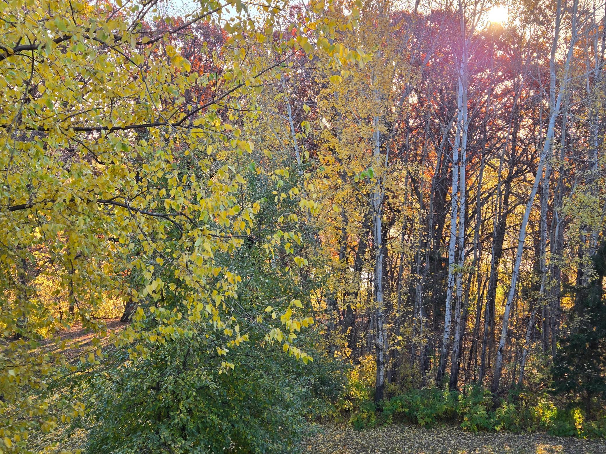 View of Residential at 26901 Meadow Ridge Drive, Elko New Market MN 55020, Elko New Market (41 of 64) - Mike Wilen | Minnesota Team Real Estate
