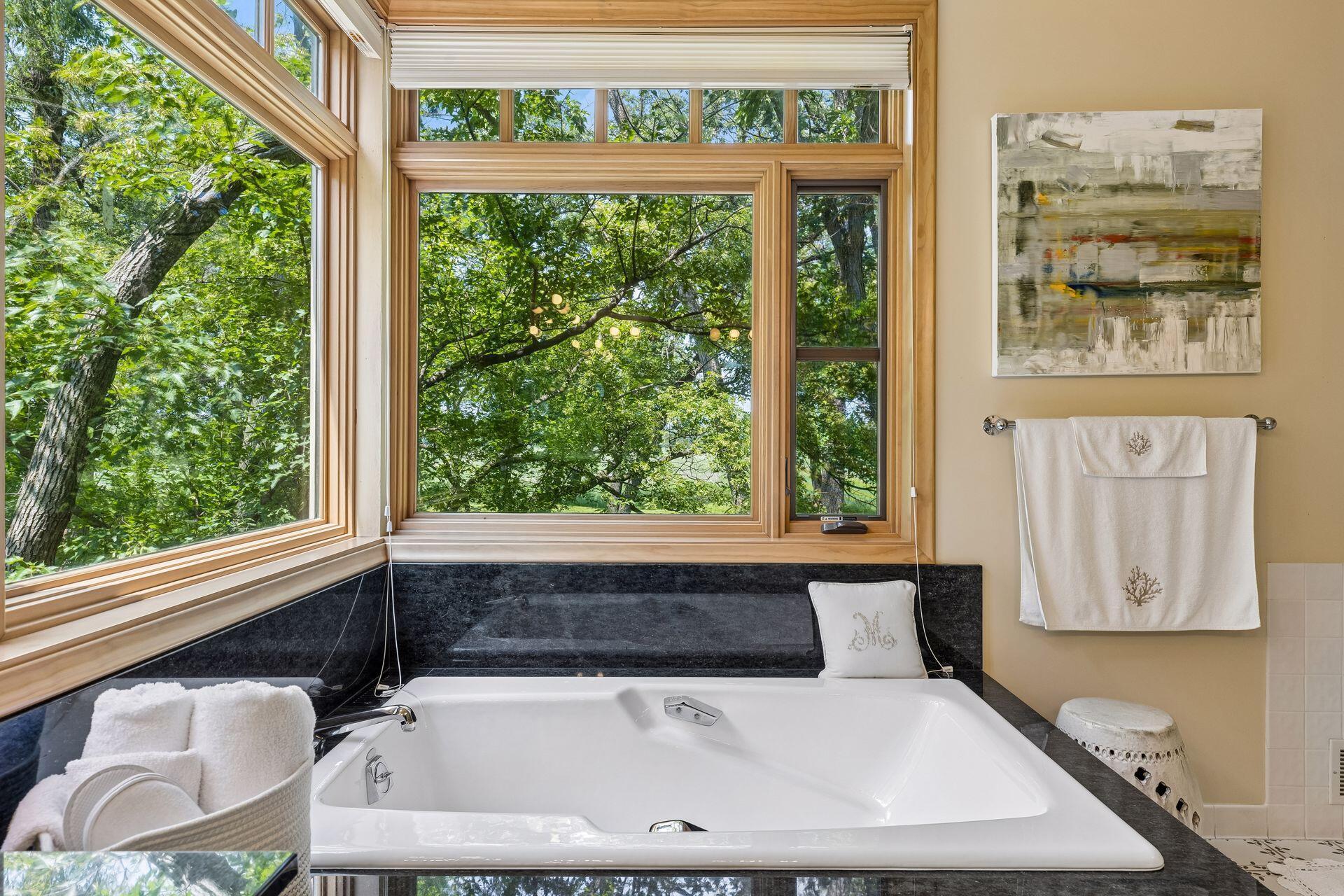 View of Residential at 2465 French Lake Road, Wayzata MN 55391, Wayzata (55 of 95) - Mike Wilen | Minnesota Team Real Estate
