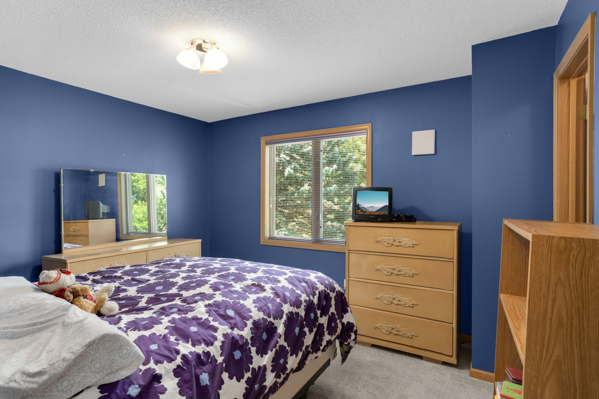 View of Residential at 527 Hackmore Drive, Eagan MN 55123, Eagan (37 of 58) - Mike Wilen | Minnesota Team Real Estate