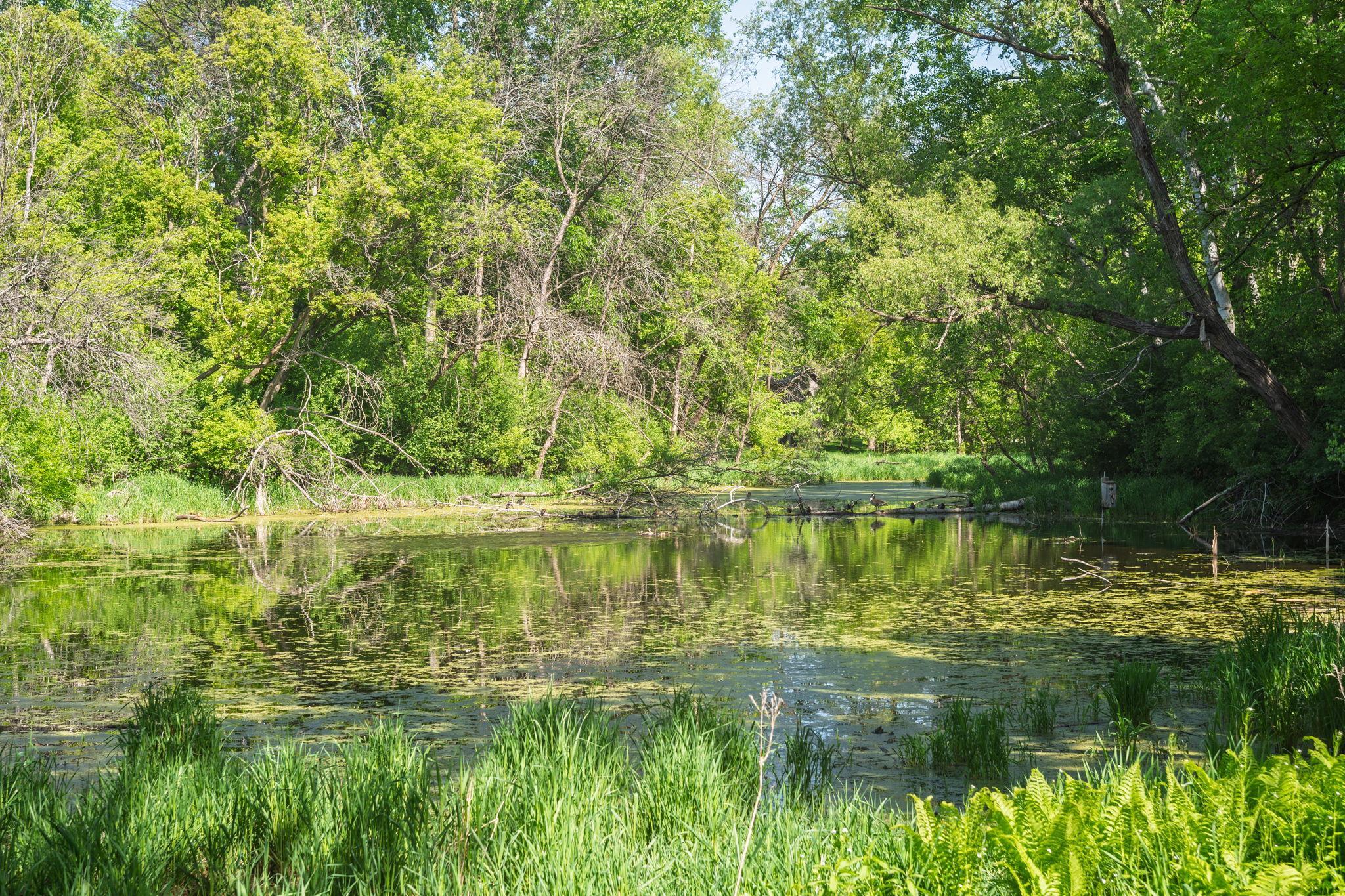 View of Residential at 2840 Mayflower Avenue, Minnetonka MN 55305, Minnetonka (38 of 49) - Mike Wilen | Minnesota Team Real Estate