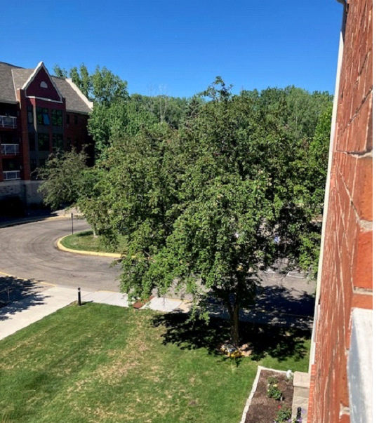 View of Residential at 500 County Road B #235, Roseville MN 55113, Roseville (17 of 50) - Mike Wilen | Minnesota Team Real Estate