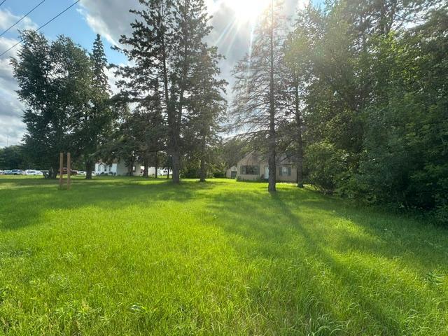 View of Land at 17910 Highway 65, Ham Lake MN 55304, Ham Lake (4 of 6) - Mike Wilen | Minnesota Team Real Estate