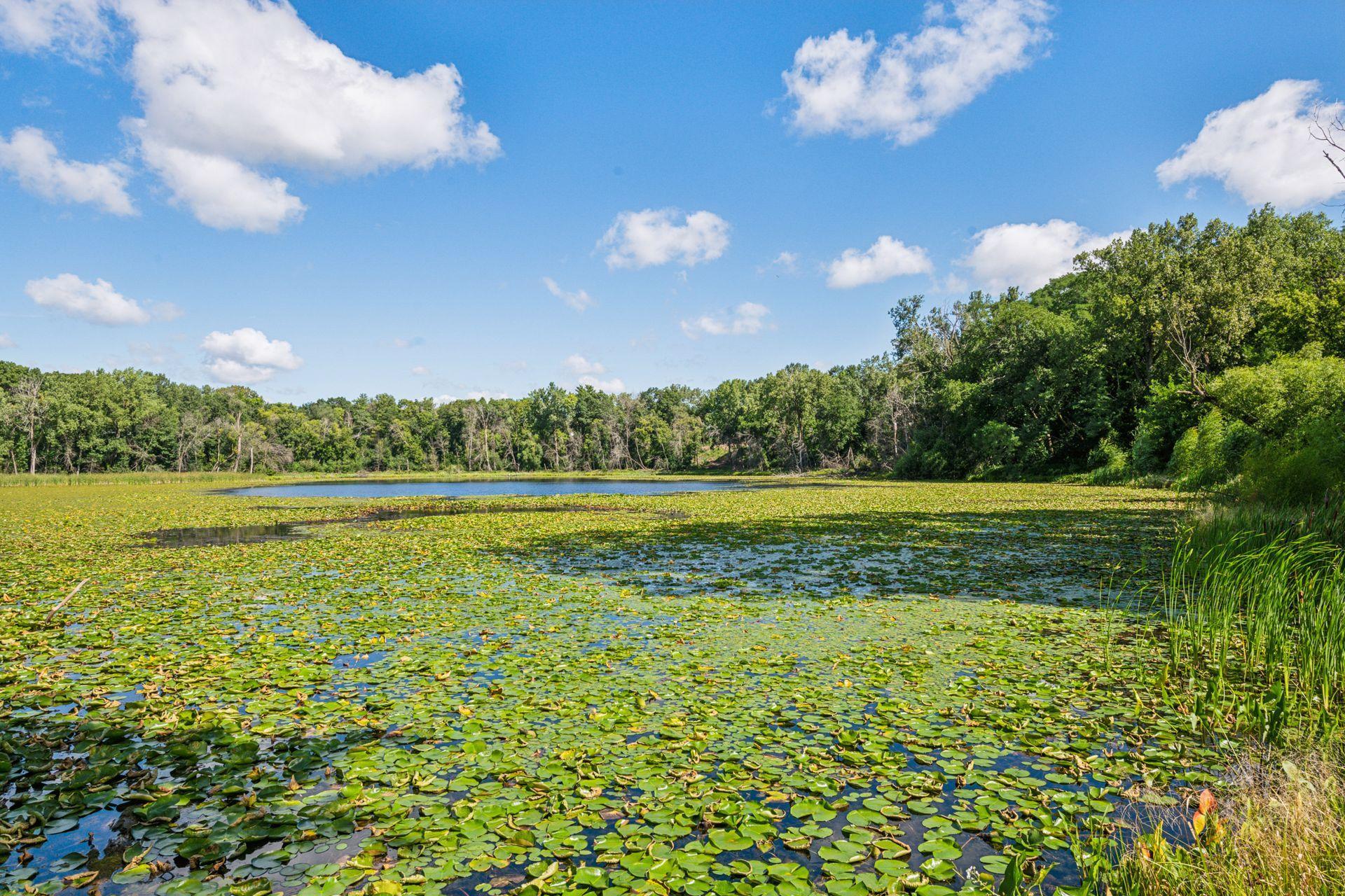 View of Residential at 6085 Rowland Road #207, Minnetonka MN 55343, Minnetonka (30 of 34) - Mike Wilen | Minnesota Team Real Estate