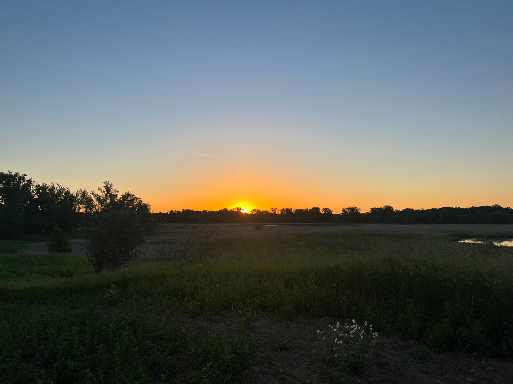 View of Land at 8XXX 200th Street, Forest Lake MN 55025, Forest Lake (19 of 26) - Mike Wilen | Minnesota Team Real Estate