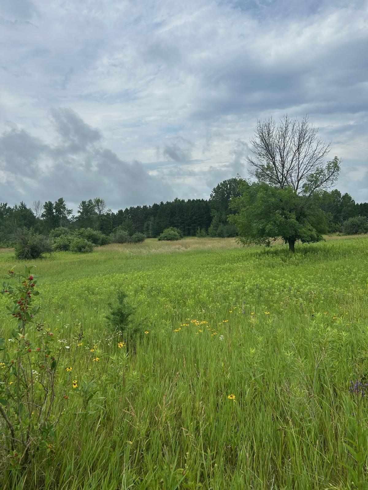 View of Land at 8XXX 200th Street, Forest Lake MN 55025, Forest Lake (26 of 26) - Mike Wilen | Minnesota Team Real Estate