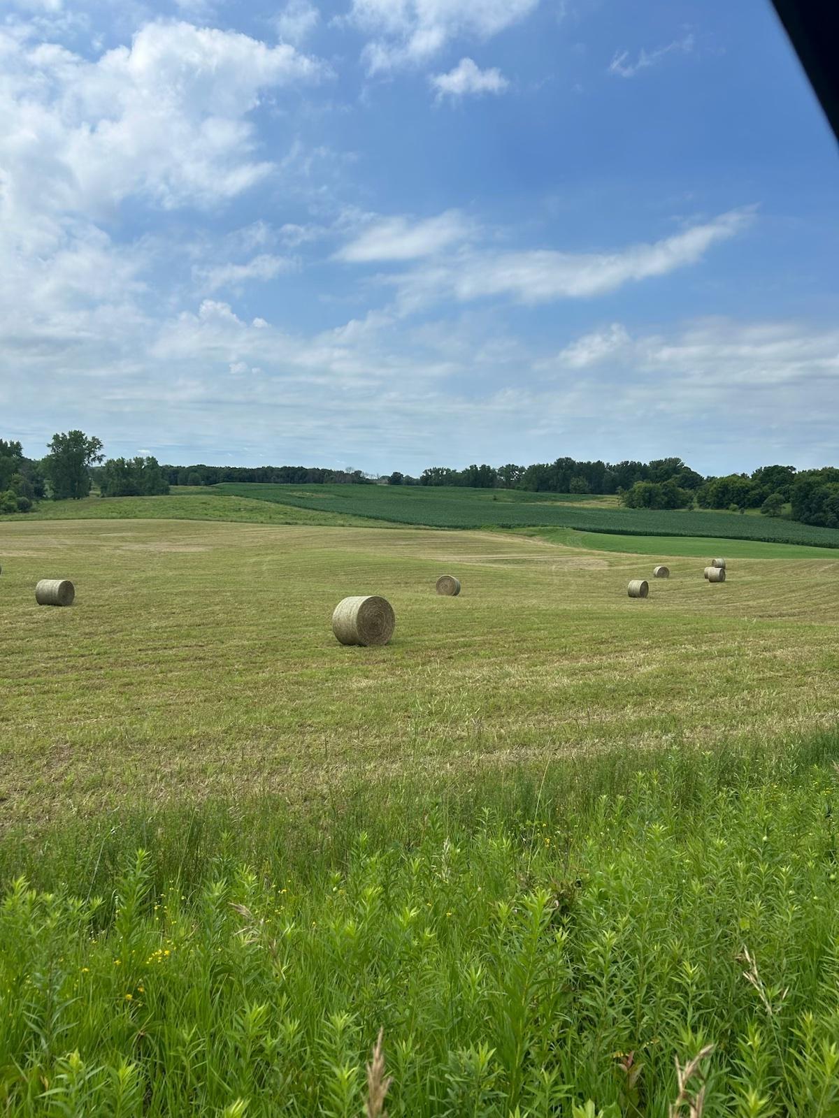 View of Land at 8XXX 200th Street, Forest Lake MN 55025, Forest Lake (25 of 26) - Mike Wilen | Minnesota Team Real Estate