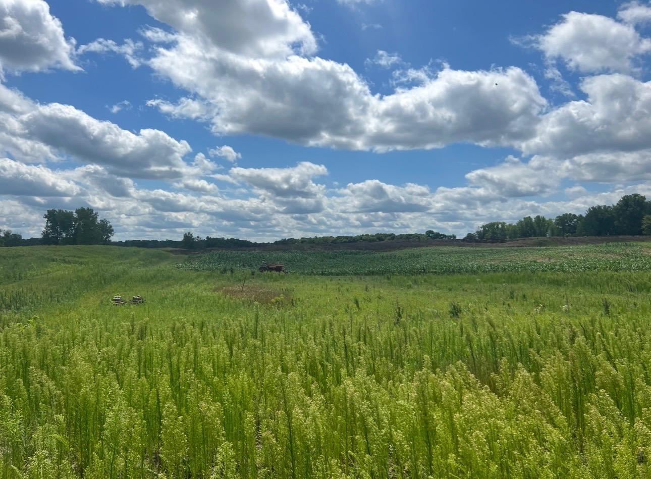 View of Land at 8XXX 200th Street, Forest Lake MN 55025, Forest Lake (24 of 26) - Mike Wilen | Minnesota Team Real Estate