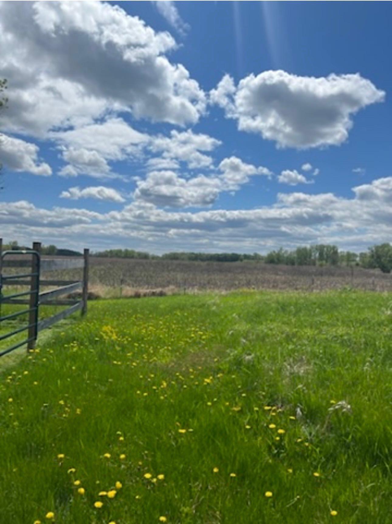 View of Land at 8XXX 200th Street, Forest Lake MN 55025, Forest Lake (23 of 26) - Mike Wilen | Minnesota Team Real Estate