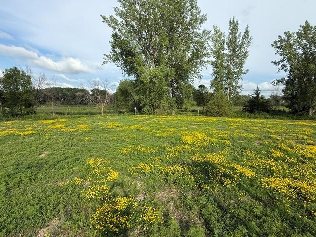 View of Land at 26351 Preserve Drive, Elko New Market MN 55054, Elko New Market - Mike Wilen | Minnesota Team Real Estate