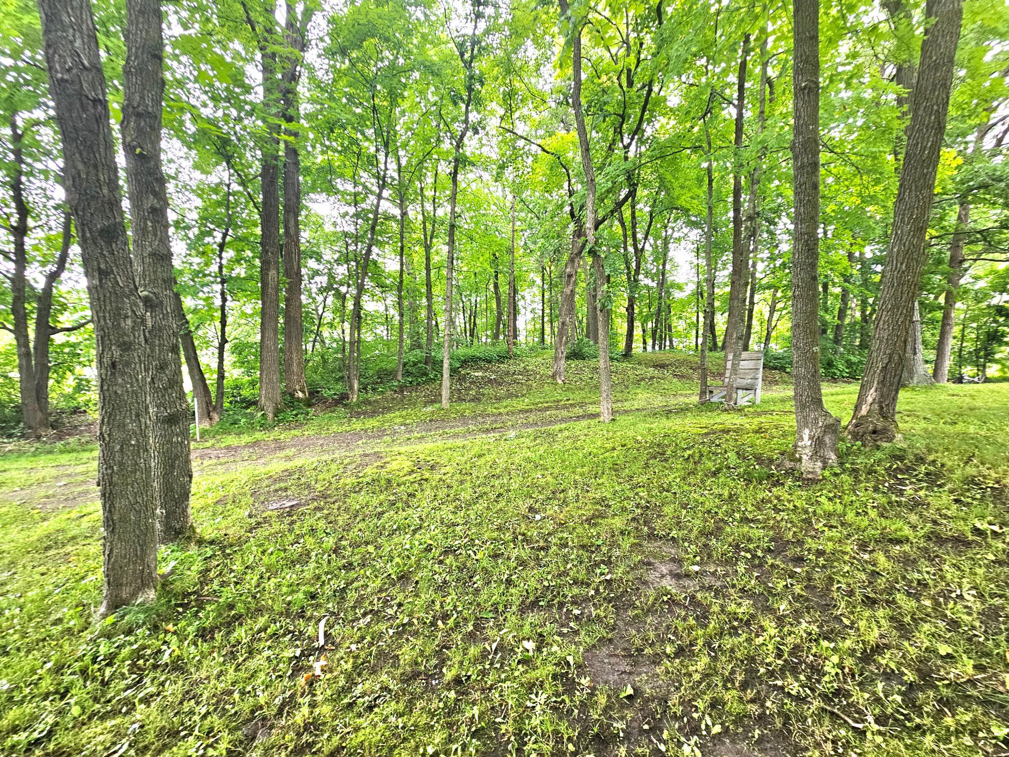 View of Land at TBD East Grace Street, Isle MN 56342, Isle - Mike Wilen | Minnesota Team Real Estate