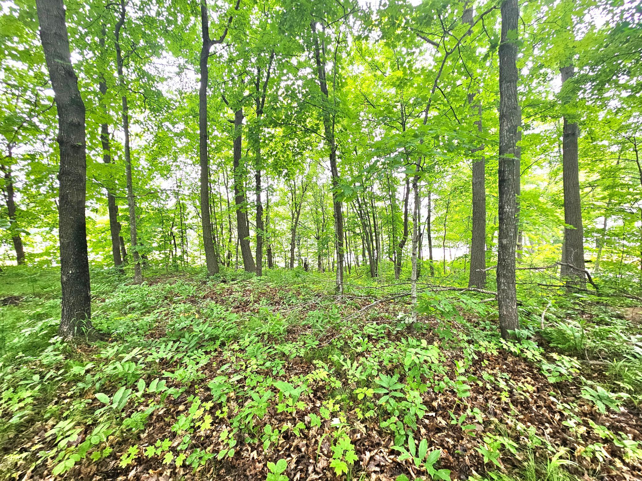 View of Land at TBD East Grace Street, Isle MN 56342, Isle (3 of 19) - Mike Wilen | Minnesota Team Real Estate