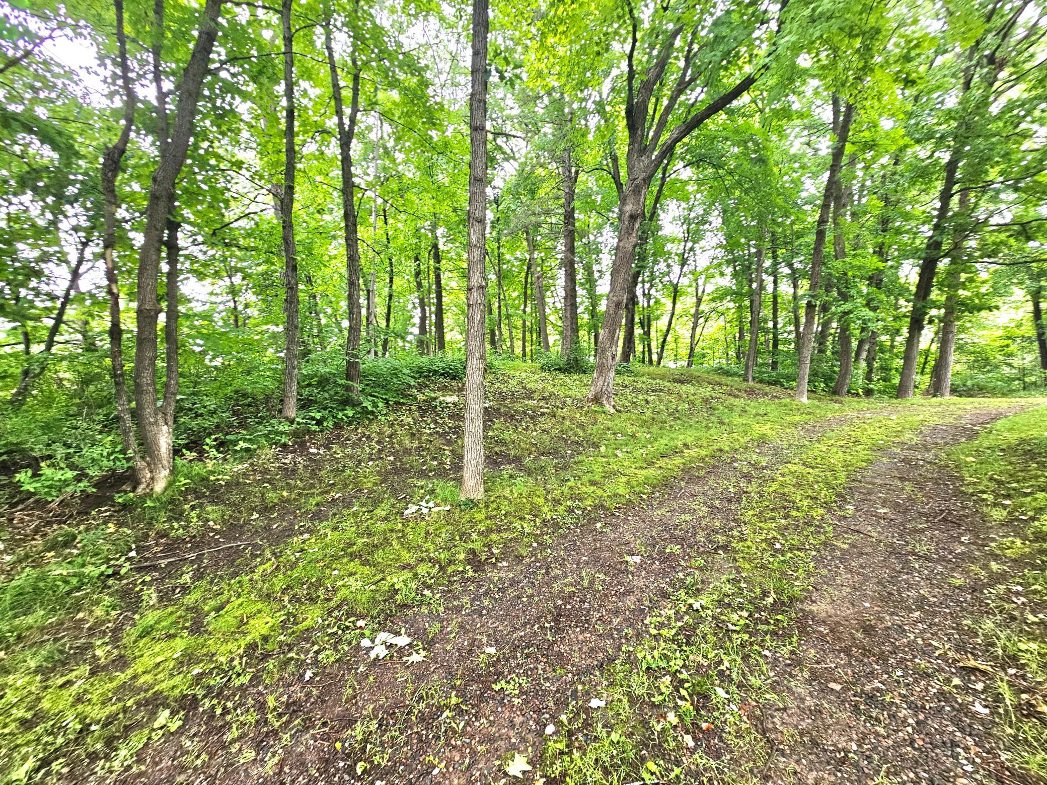 View of Land at TBD East Grace Street, Isle MN 56342, Isle (4 of 19) - Mike Wilen | Minnesota Team Real Estate
