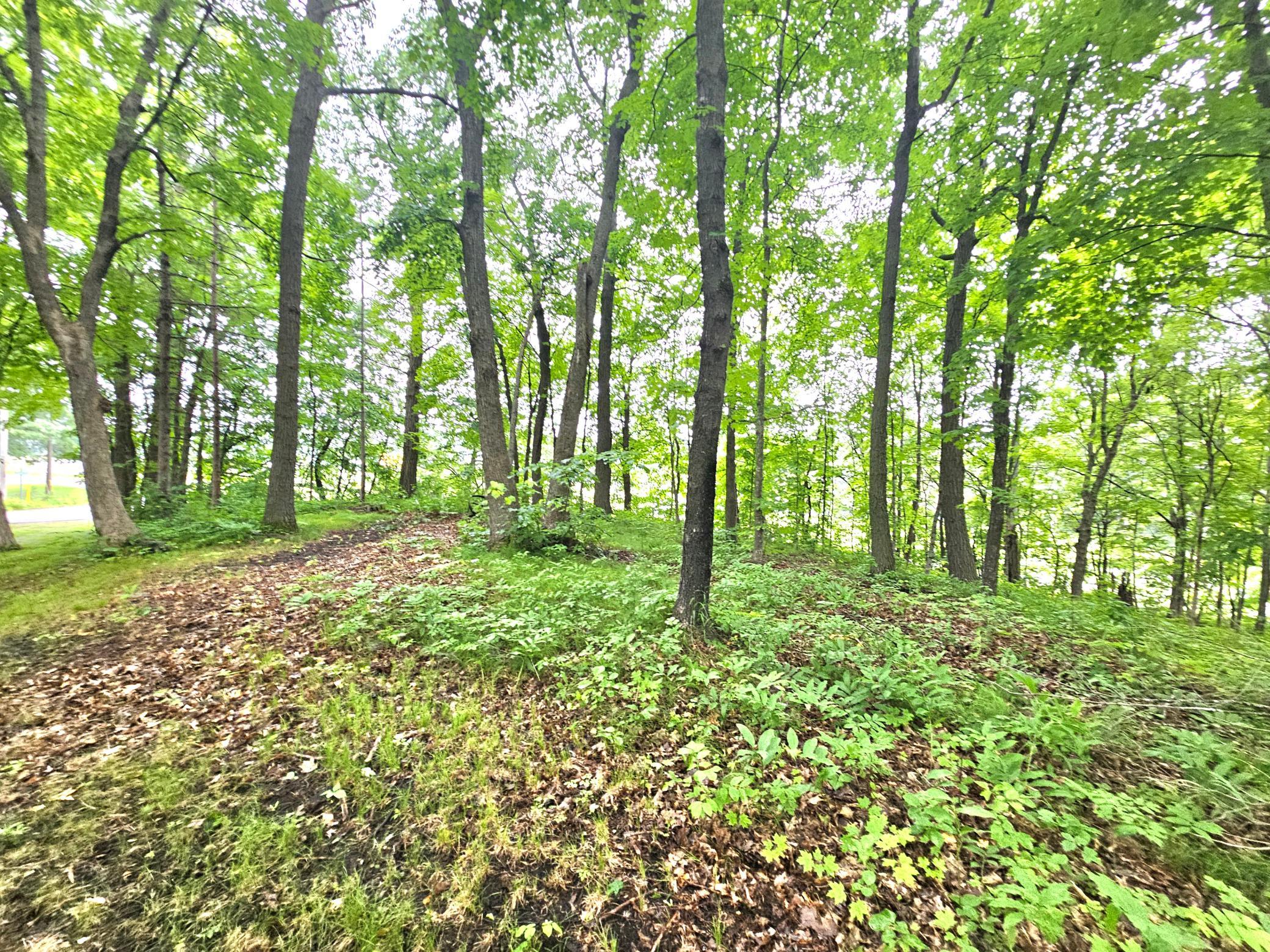 View of Land at TBD East Grace Street, Isle MN 56342, Isle (5 of 19) - Mike Wilen | Minnesota Team Real Estate
