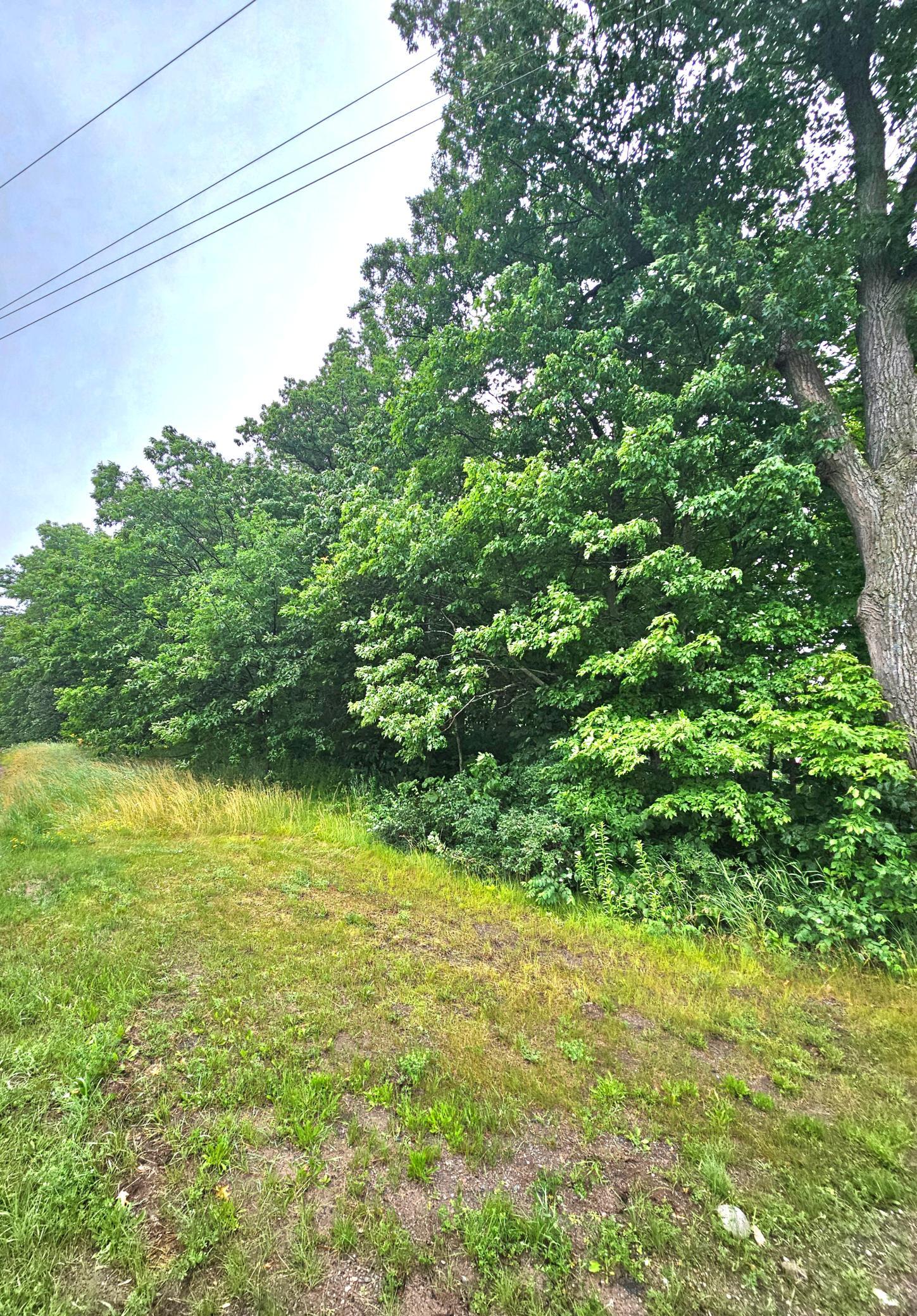 View of Land at TBD East Grace Street, Isle MN 56342, Isle (6 of 19) - Mike Wilen | Minnesota Team Real Estate