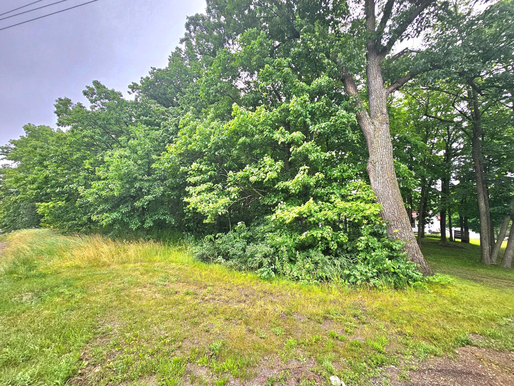 View of Land at TBD East Grace Street, Isle MN 56342, Isle (7 of 19) - Mike Wilen | Minnesota Team Real Estate