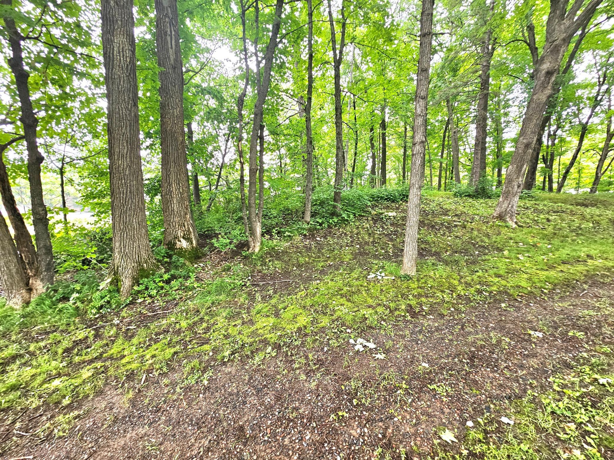 View of Land at TBD East Grace Street, Isle MN 56342, Isle (8 of 19) - Mike Wilen | Minnesota Team Real Estate