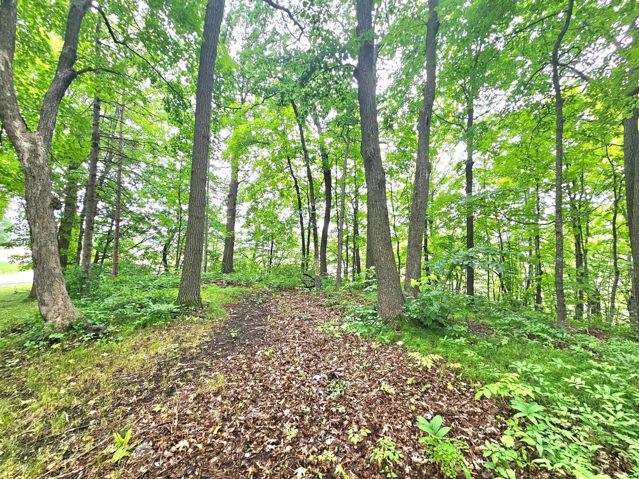 View of Land at TBD East Grace Street, Isle MN 56342, Isle (10 of 19) - Mike Wilen | Minnesota Team Real Estate