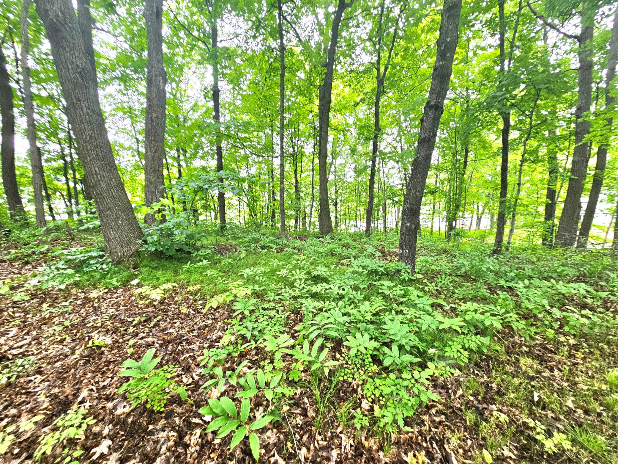 View of Land at TBD East Grace Street, Isle MN 56342, Isle (12 of 19) - Mike Wilen | Minnesota Team Real Estate