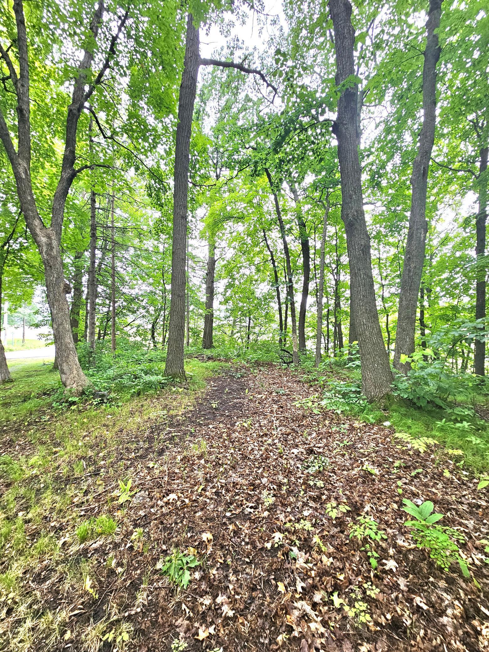 View of Land at TBD East Grace Street, Isle MN 56342, Isle (15 of 19) - Mike Wilen | Minnesota Team Real Estate
