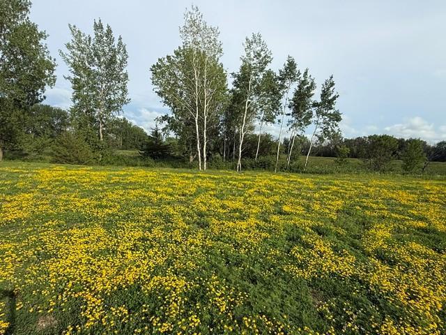 View of Land at 26361 Preserve Drive, Elko New Market MN 55054, Elko New Market - Mike Wilen | Minnesota Team Real Estate