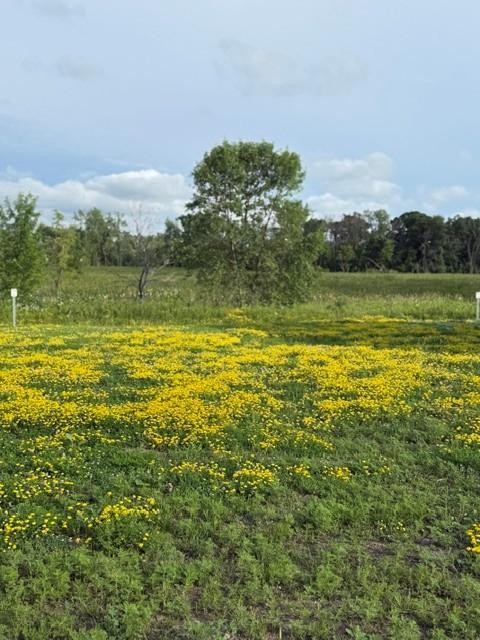 View of Land at 26381 Preserve Drive, Elko New Market MN 55054, Elko New Market - Mike Wilen | Minnesota Team Real Estate
