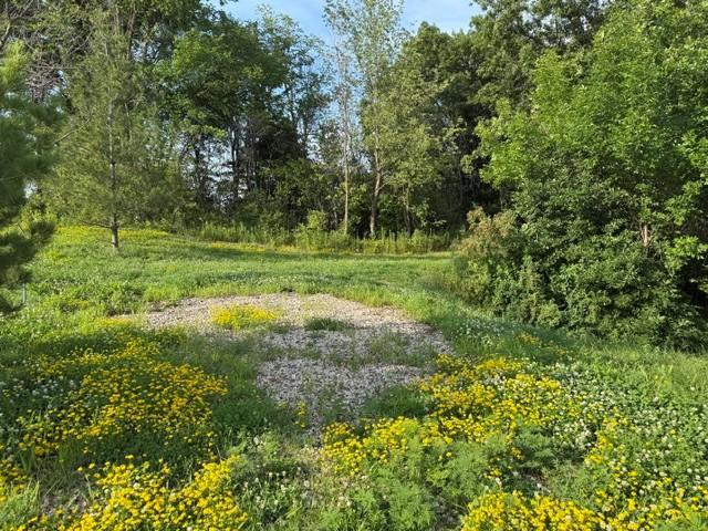View of Land at 26498 Evergreen Court, Elko New Market MN 55020, Elko New Market - Mike Wilen | Minnesota Team Real Estate
