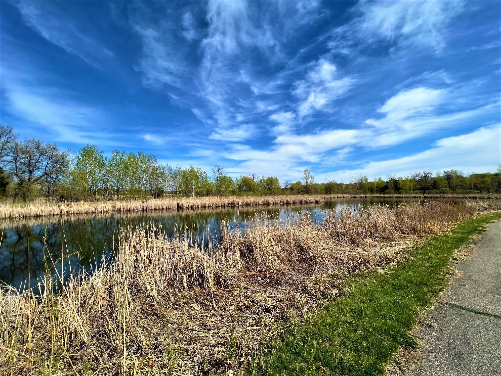 View of Residential at 1649 Lund Way, Shakopee MN 55379, Shakopee (22 of 25) - Mike Wilen | Minnesota Team Real Estate