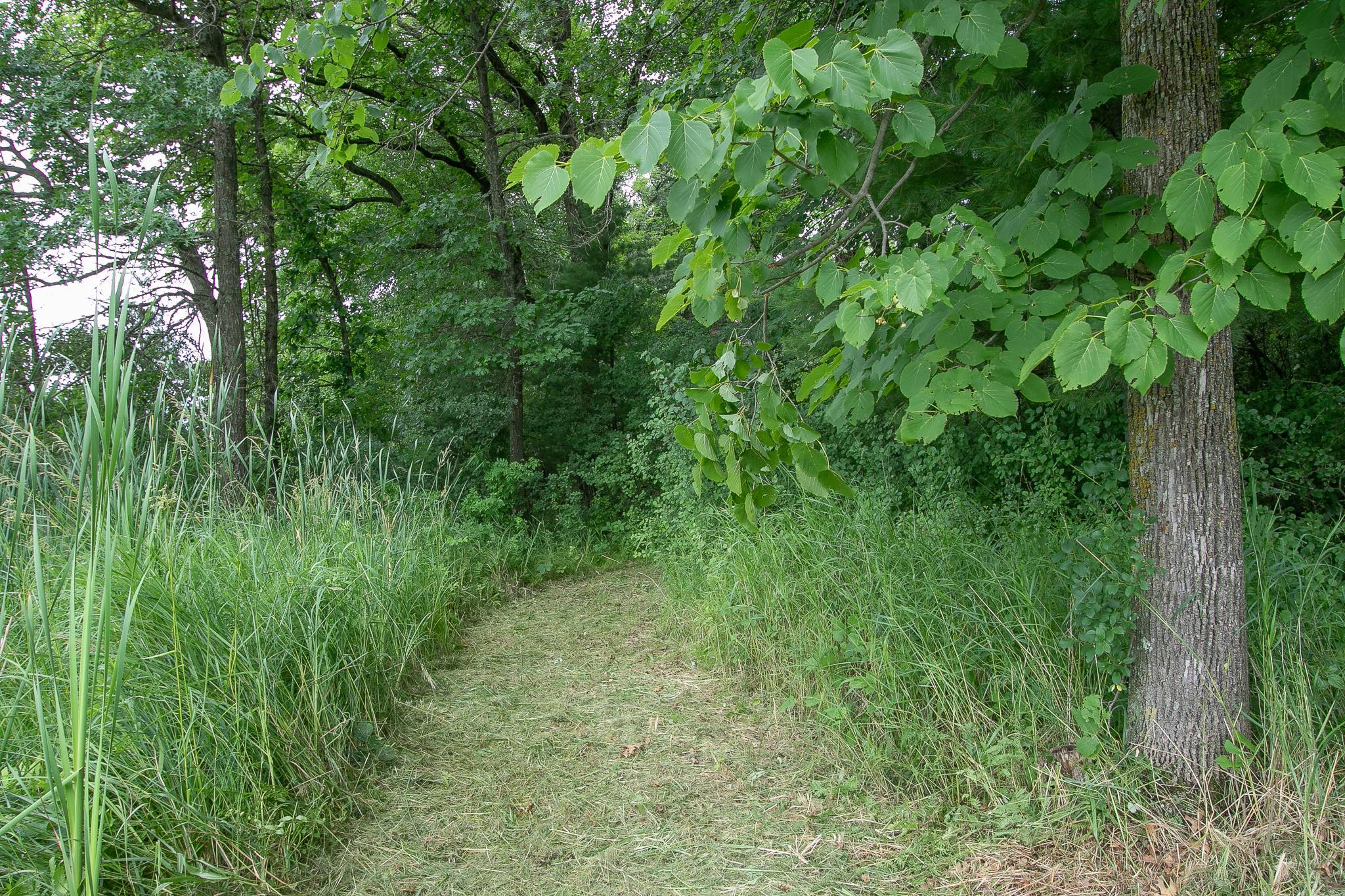 View of Residential at 37306 Fjeldheim Road, Stanchfield MN 55080, Stanchfield (24 of 46) - Mike Wilen | Minnesota Team Real Estate